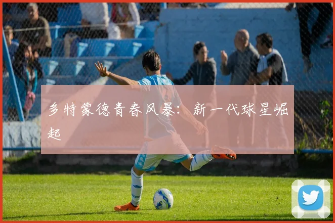 多特蒙德青春风暴：新一代球星崛起