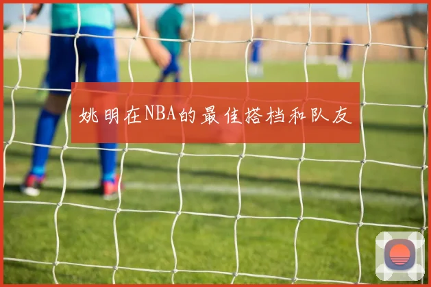 姚明在NBA的最佳搭档和队友
