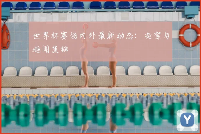 世界杯赛场内外最新动态:花絮与趣闻集锦